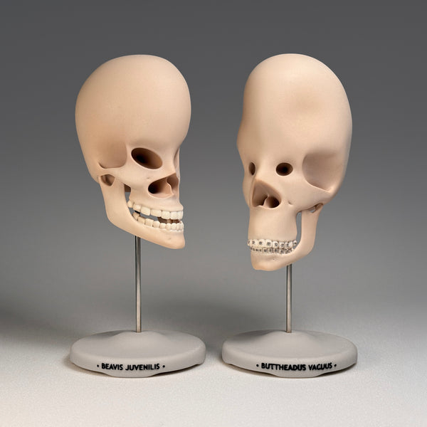 Vacuus Juvenilis (Large Skulls) – Jason Freeny