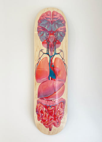 Skate Deck Anatomy