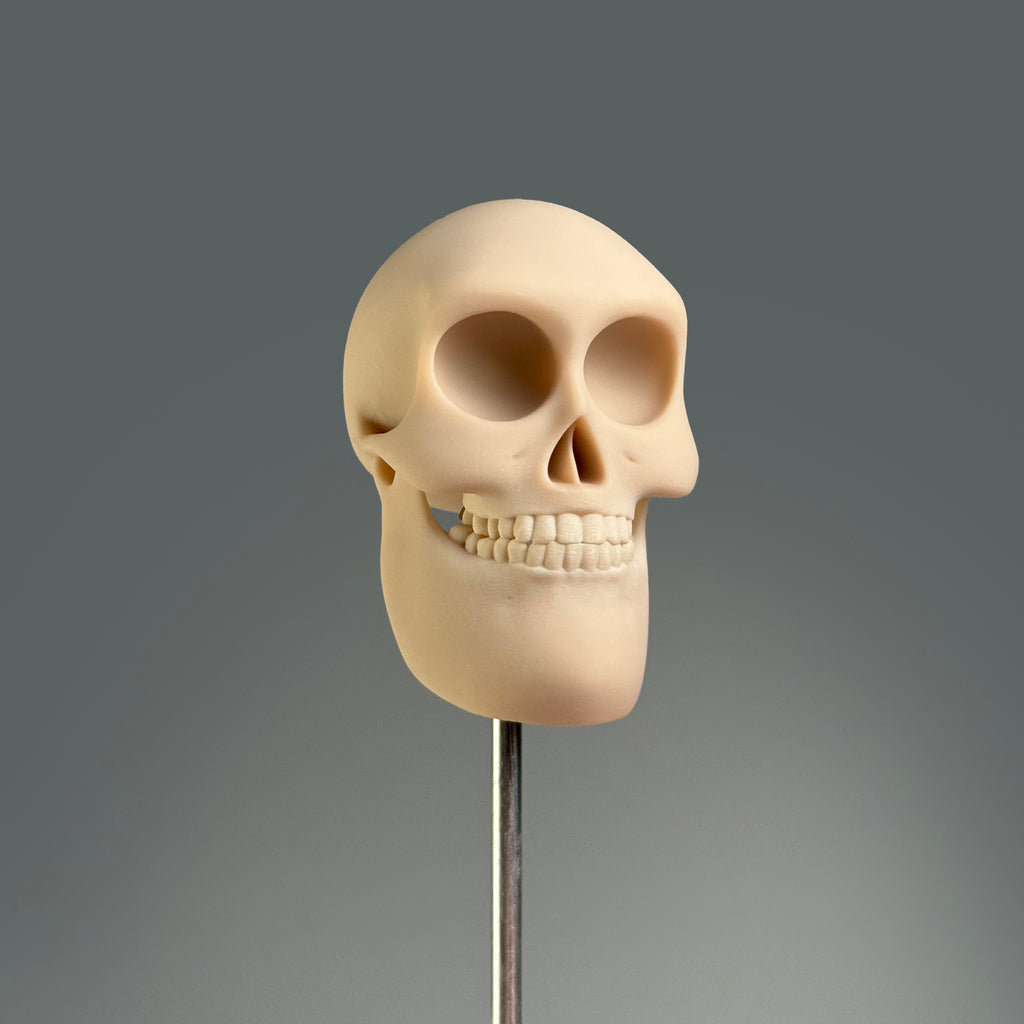 Rangerus Adastra Plasticus