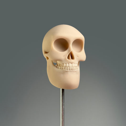 Rangerus Adastra Plasticus