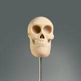 Rangerus Adastra Plasticus