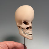 Vacuus Juvenilis (Large Skulls)