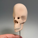 Vacuus Juvenilis (Large Skulls)