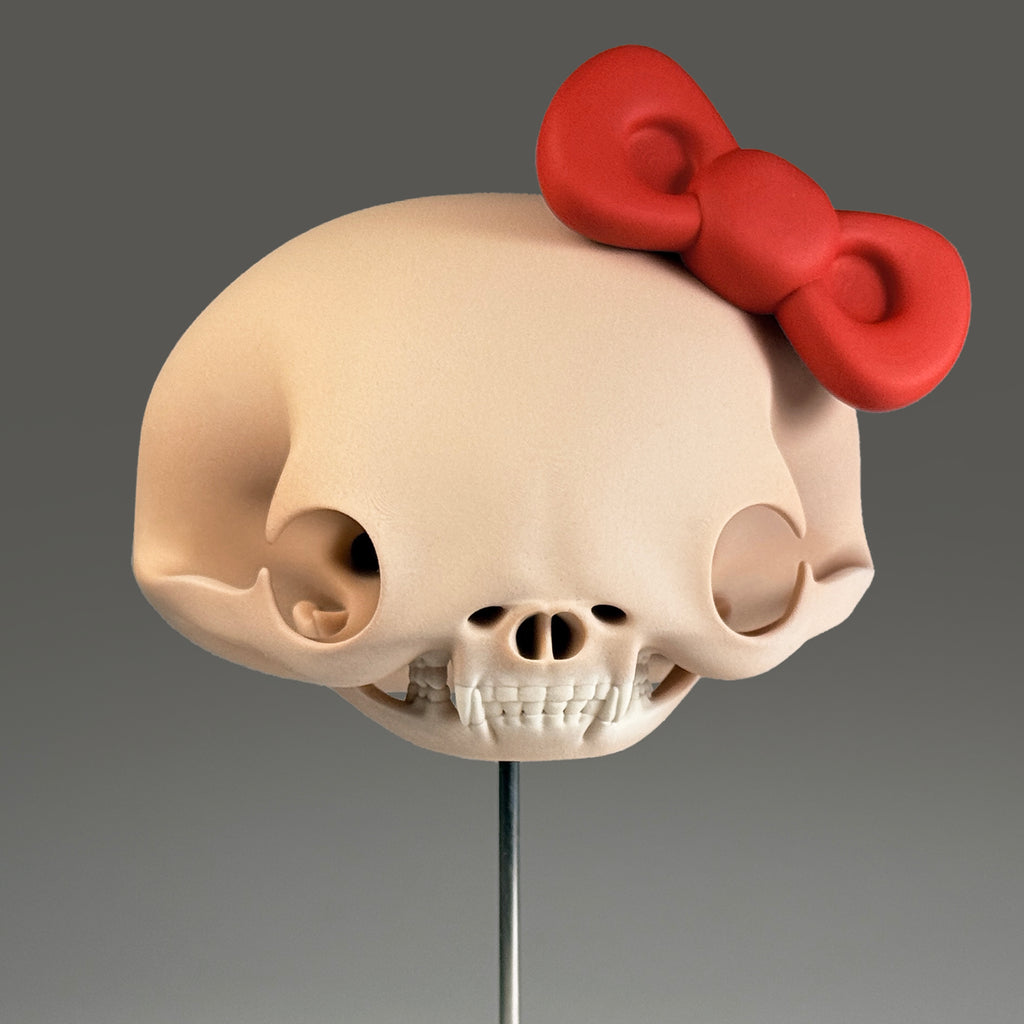 Felis Catus Salve (Large Skull)