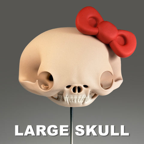 Felis Catus Salve (Large Skull)