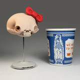 Felis Catus Salve (Large Skull)