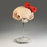 Felis Catus Salve (Large Skull)