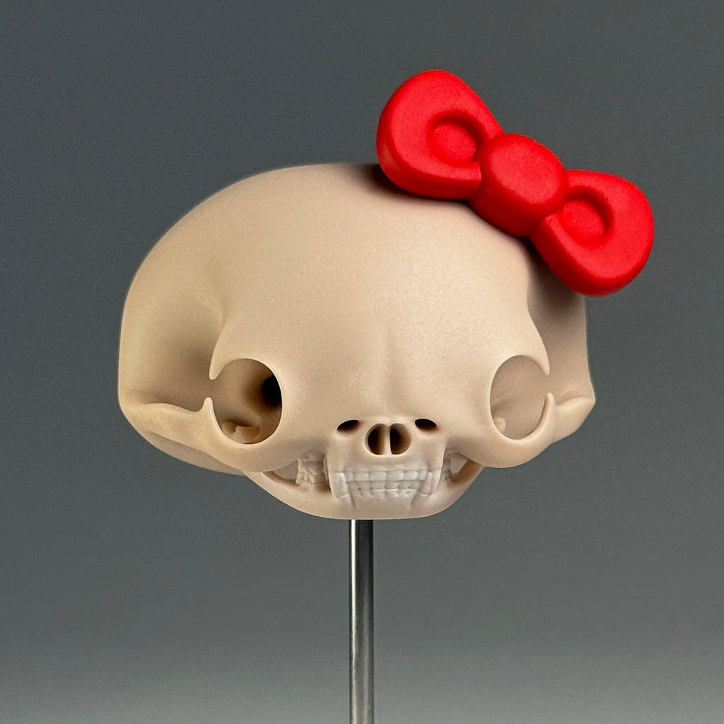 Felis Catus Salve (Skull)