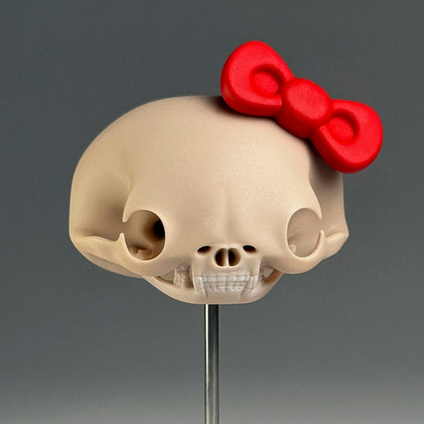 Felis Catus Salve (Skull)