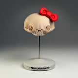 Felis Catus Salve (Skull)