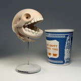 Pacus Devourum (Large Skull)