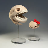 Pacus Devourum (Large Skull)