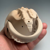 Pacus Devourum (Large Skull)