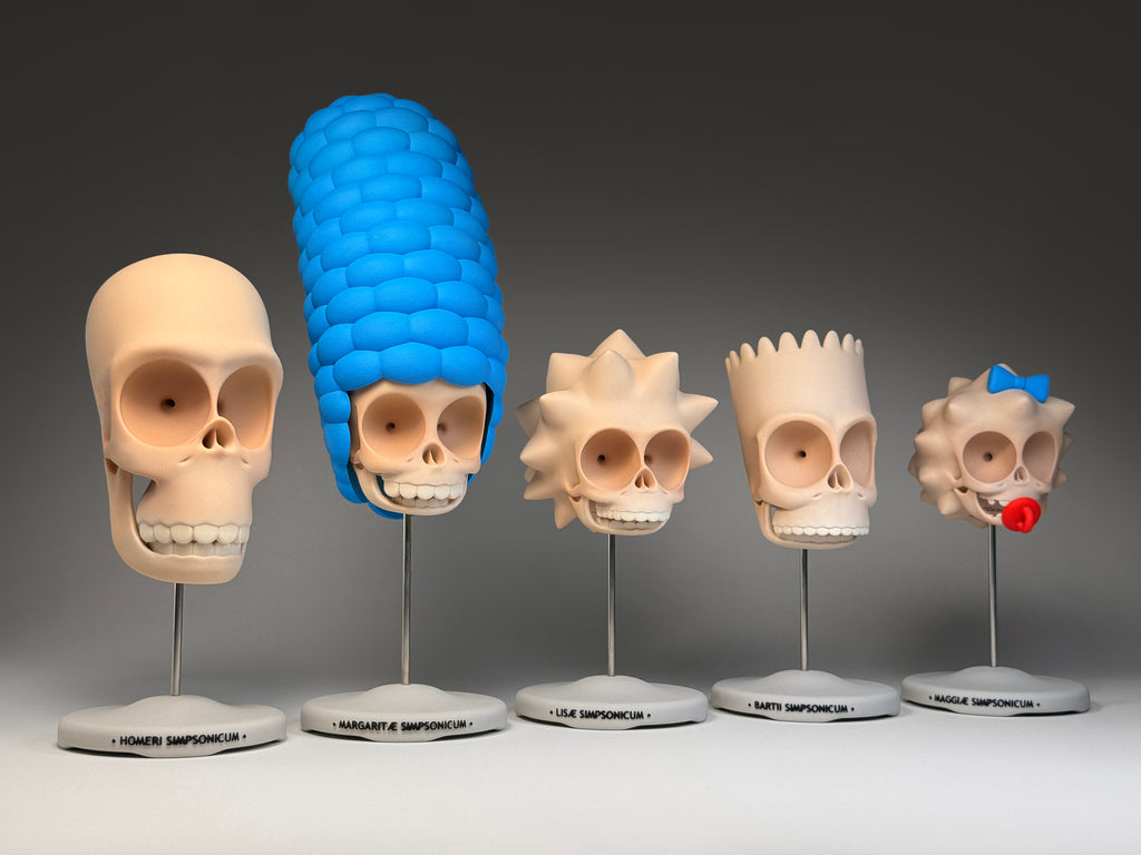 Cranium Simpsonicum (Large Skulls)