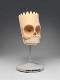 Cranium Simpsonicum (Large Skulls)