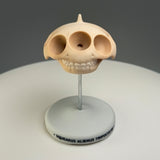 Squeakus Alienus Tripoculus