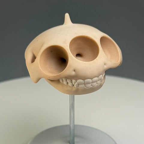 Squeakus Alienus Tripoculus