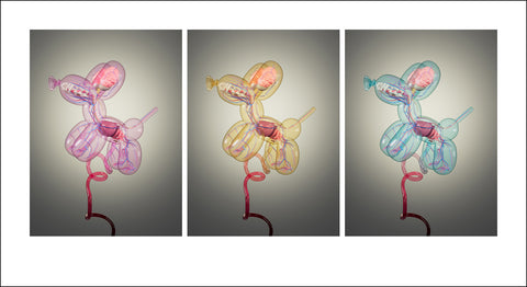 "Balloon Dog Fetus" Tryptic Print