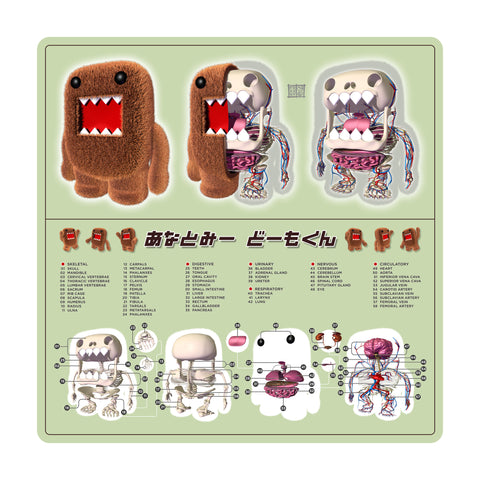 Domo Kun Anatomy Print (Limited Edition)